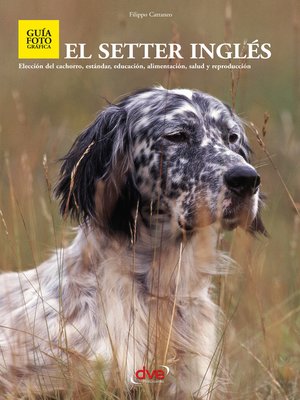 cover image of El setter ingles